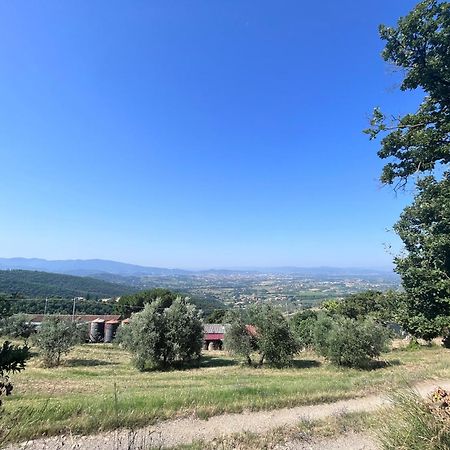 Le Case Di Anita In Toscana - Arezzo Dış mekan fotoğraf
